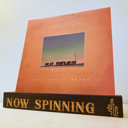 NOW SPINNING Saguaro Vinyl Record Display