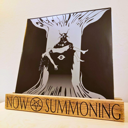 NOW SUMMONING Wizard Vinyl Record Display