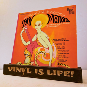 Vinyl LP Stand