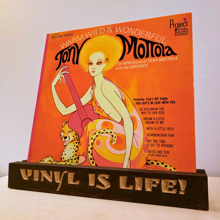 Vinyl Is Life! - Vinyl Record Display