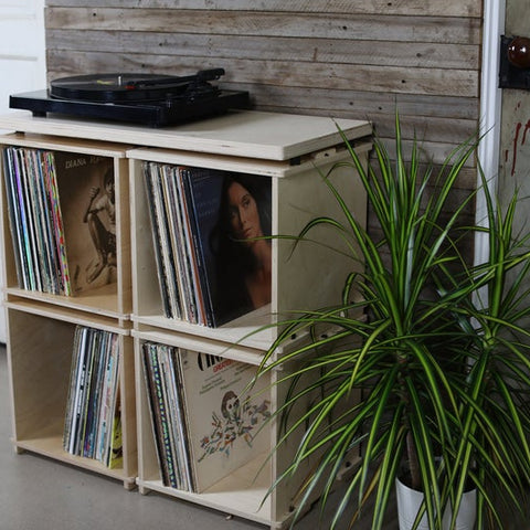DIY Vinyl Storage Solution